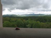 Natures Beauty &middot; Asheville, NC &middot; April 27, 2010 &middot; Ryan’s Mom
