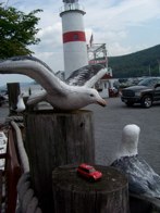 Lake Otsego “Glimmerglass” &middot; Cooperstown, NY &middot; July 25, 2009 &middot; Tim Graves