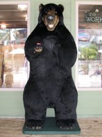 Don’t feed the bears MINIs &middot; Myrtle Beach, SC &middot; June 23, 2009 &middot; Ryan’s Dad