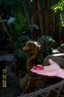 Indiana Jones Ride Entrance &middot; Disneyland- Anaheim, CA &middot; January 20, 2009 &middot; Joie Stangland