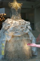 The most gorgeous dress &middot; Los Angeles, CA &middot; January 21, 2009 &middot; Joie Stangland