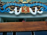 Majesty of the Seas Ship &middot; Miami, FL &middot; February 23, 2009 &middot; Tim Graves