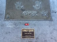 Ringo! &middot; Las Vegas, Nevada &middot; January 9, 2016 &middot; Stacy Hickman