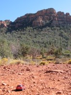 Schnebly Hill &middot; Sedona, AZ &middot; October 6, 2008 &middot; Ryan’s Mom