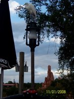 Big Thunder Mountain &middot; Disney World, FL &middot; November 1, 2008 &middot; Tim Graves