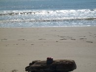 Relaxing &middot; Bald Head Island, NC &middot; October 26, 2008 &middot; David Meyer