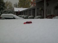 03’s first ’08 snowfall &middot; Waynesville, NC &middot; October 28, 2008 &middot; David Meyer