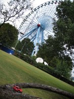 Texas Star Ferris Wheel &middot; Dallas, TX &middot; October 6, 2008 &middot; Dickdavid
