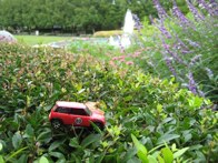 Fair Park Garden &middot; Dallas, TX &middot; October 6, 2008 &middot; Dickdavid