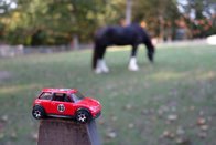 Busch Gardens &middot; Williamsburg, Virginia &middot; October 9, 2015 &middot; Ryan’s Mom