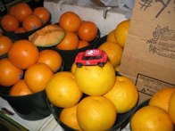 Filling up on Vitamin C &middot; Dallas, TX &middot; September 28, 2008 &middot; Dickdavid