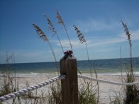 Lover's Key &middot; Ft. Myers FL &middot; September 15, 2008 &middot; Ute Gunn
