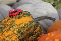 Shades of Fall &middot; Alexandria, Virginia &middot; October  25, 2015 &middot; Ryan’s Mom