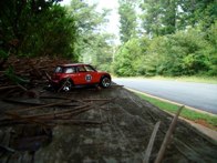 Pignut Hickory &middot; Kennesaw GA &middot; August 14, 2008 &middot; Mark Curtis