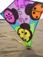 Lady Bug Kite &middot; Jockey’s Ridge, OBX, NC &middot; August 16, 2008 &middot; Nic, Cat, & Tina Barry