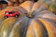 Shades of Fall &middot; Alexandria, Virginia &middot; October  25, 2015 &middot; Ryan’s Mom