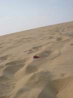 Jockey's Ridge State Park &middot; Nags Head, NC &middot; August 16, 2008 &middot; Nic, Cat, & Tina Barry