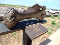 Bronze Dinosaur Bone &middot; New Mexico State Line &middot; July 24, 2008 &middot; Mark Curtis