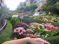 Lombard Street &middot; San Francisco CA &middot; July 28, 2008  &middot; Cathleen Barry