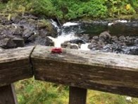 Hachery Creek Falls &middot; Prince of Wales, Alaska &middot; October 10, 2015 &middot; Robert Verela