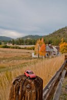 Western Fall &middot; Glenbrook, Nevada &middot; October 16, 2010 &middot; Otto Hsiao