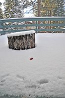 First Snow &middot; Lower Kingsbury, Nevada &middot; November 8, 2010 &middot; Otto Hsiao