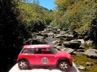 Blue Ridge Mountains &middot; North Carolina &middot; September 2010 &middot; Alisa Andrijanoff