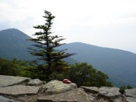 Great Smoky Mountains &middot; Tennessee &middot; August 21, 2010 &middot; Christine Miller