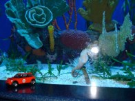 Ripley’s Aquarium - Smokies &middot; Gatlinburg, Tennessee &middot; August 26, 2010 &middot; Christine Miller