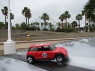 Moody Gardens - Rain Forest Pyramid, Galveston, TX &middot; May 7, 2010 &middot; Angie Castille