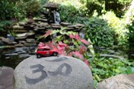 Serenity Garden &middot; Springfield, Virginia &middot; September 5, 2015 &middot; Ryan’s Mom