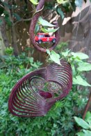 Serenity Garden &middot; Springfield, Virginia &middot; September 5, 2015 &middot; Ryan’s Mom