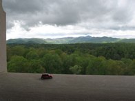 Natures Beauty &middot; Asheville, NC &middot; April 27, 2010 &middot; Ryan’s Mom