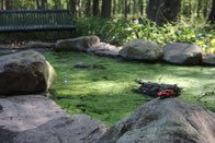 Ryan’s Pond &middot; Alexandria, Virginia &middot; September 8, 2015 &middot; Ryan’s Mom