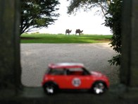 Landscape Art &middot; Newport, RI &middot; September 7, 2009 &middot; Ryan’s Dad