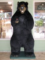 Don’t feed the bears MINIs &middot; Myrtle Beach, SC &middot; June 23, 2009 &middot; Ryan’s Dad