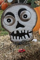 Happy Halloween &middot; Burke, Virginia &middot; October 14, 2012 &middot; Ryan’s Mom