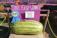 It’s a winner @ Cox Farm &middot; Centerville, Virginia &middot; October 22, 2012 &middot; Ryan’s Dad