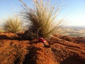 At the top of Ayers Rock &middot; Central Australia &middot; August 2, 2011 &middot; Michael Gardner