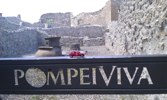 The Ruins &middot; Pompeii, Italy &middot; July 20, 2011 &middot; Allison Petruzzi