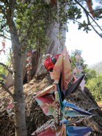 Sadako Peace Gardens &middot; Santa Barbara, CA &middot; August 17, 2012 &middot; Rob Henry