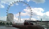 The Eye &middot; London, England &middot; August 5, 2011 &middot; Allison, Petruzzi
