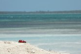 Beautiful Blue Waters &middot; CocoCay, Bahamas &middot; May 3, 2011 &middot; Matt Diendorf