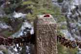 Huang Shan - love lockets &middot; South Central China &middot; March 26, 2011 &middot; Michael Rainwater