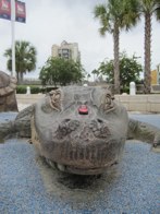 A new friend &middot; Tampa, Florida &middot; August 26, 2012 &middot; Stacy Hickman