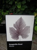 Kangarilla Road Winery &middot; McLaren Vale, Australia &middot; February 3, 2011 &middot; Michael Gardner