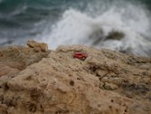 Aruba Natural Bridge &middot; Windward Coast, Aruba &middot; January 30, 2011 &middot; Marlene Friedlander