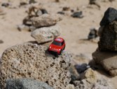 Exploring &middot; Aruba &middot; January 30, 2011 &middot; Marlene Friedlander