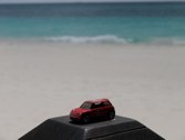 Sunning &middot; Aruba &middot; January 30, 2011 &middot; Marlene Friedlander