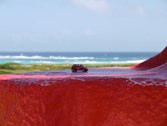 Red everywhere &middot; San Nicholas, Aruba &middot; February 8, 2011 &middot; Marlene Friedlander
